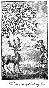 Stag and Cherry Tree