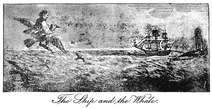 The Ship and the Whale